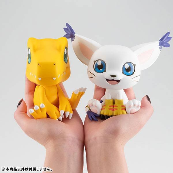 Agumon_Tailmon_1 - Figura semanal - (31-12-2021-9-1-2022) - Hanami Dango