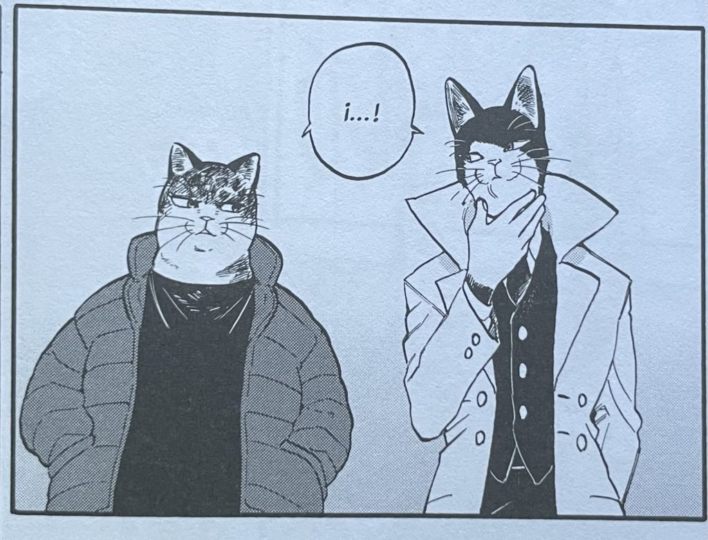 4-Buddy-Cat-Reseña-Hanami-Dango