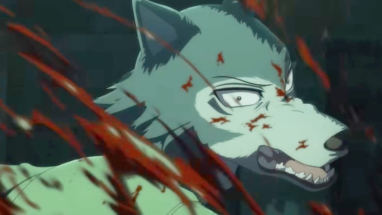 Beastars Análisis 4 - Hanami Dango