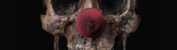 Sitges 2025 - Hanami Dango
