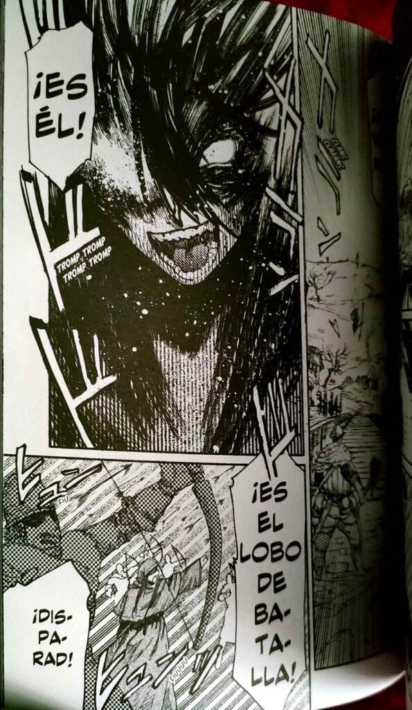 Adiós, mi Odín - Reseña 15 - HanamiDango