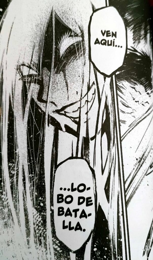 Adiós, mi Odín - Reseña 2 - HanamiDango