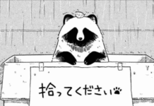 Contigo bajo la lluvia – Recomendación