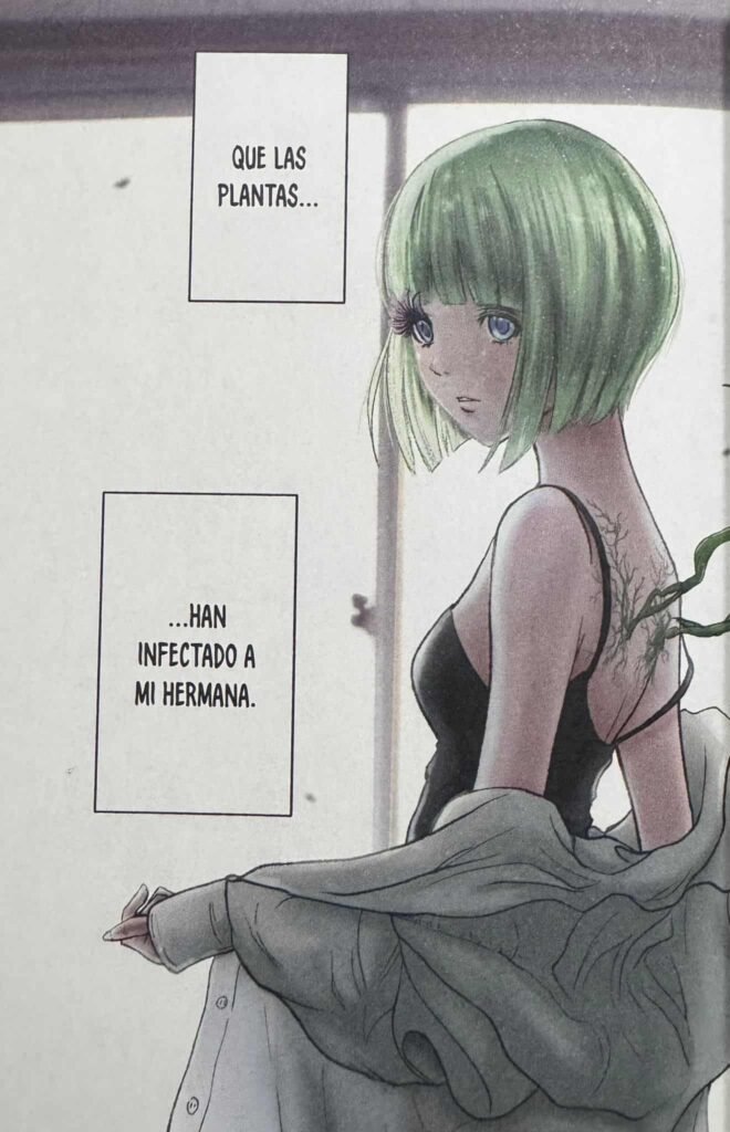 Wild Strawberry - recomendación - 1 - Hanami Dango