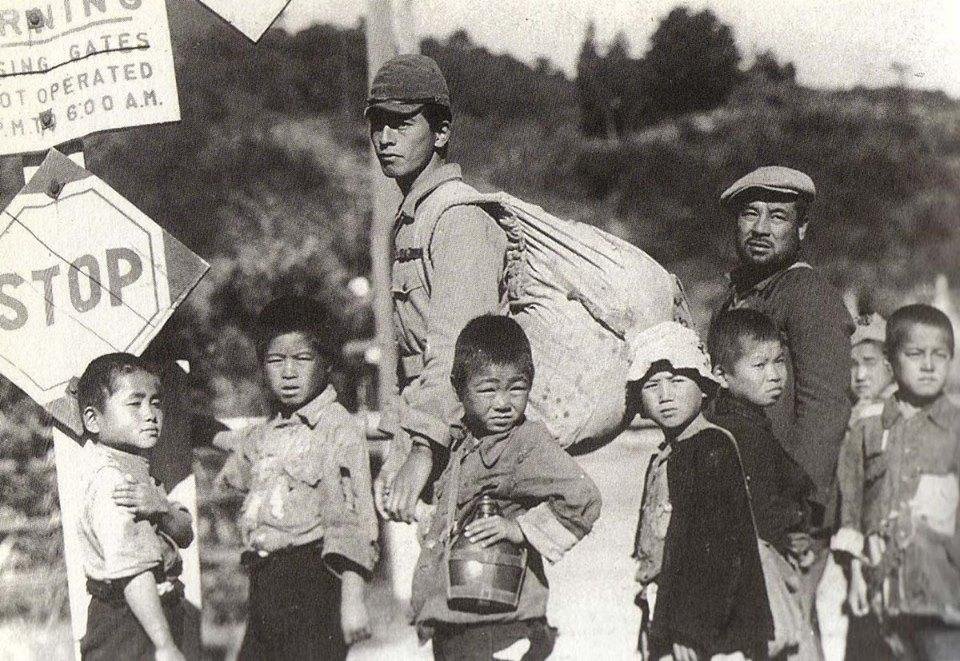 hanami-dango-medicidad-en-japón