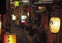 La sombra en La cantina de medianoche: Historias de Tokio el detalle japonés que transforma su melancolía en arte La cantina de medianoche - Recomendación - Hanami Dango 01